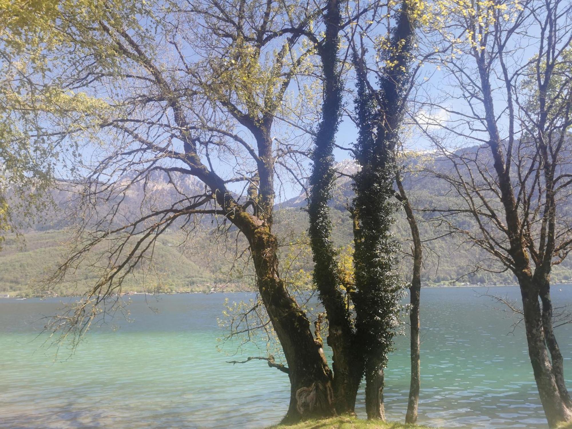 Charmant Appartement A 1 Minute Du Lac Annecy Luaran gambar